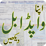Wapda Electricity Bill Checker icon