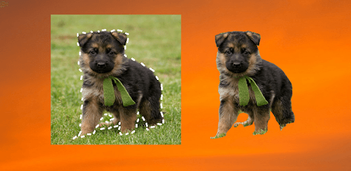 Freehand Cropper pc screenshot Freehand Cropper pc screenshot