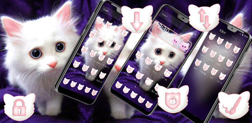 Cute Furry White Cat Theme pc screenshot Cute Furry White Cat Theme pc screenshot