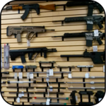 Real Gun Sounds icon