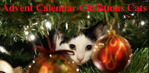 Advent Calendar Christmas Cats pc screenshot