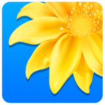 Gallery icon
