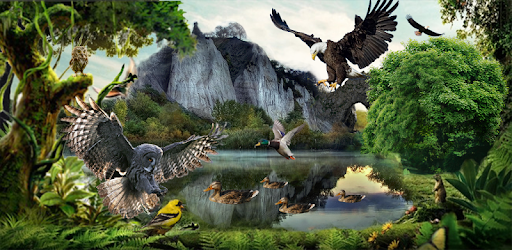 Birds Flying Eagle Simulator 3D pc screenshot Birds Flying Eagle Simulator 3D pc screenshot