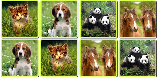 Matching Madness - Animals pc screenshot Matching Madness - Animals pc screenshot