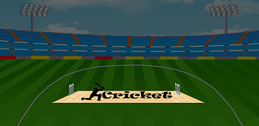 Cricket 2d pc screenshot