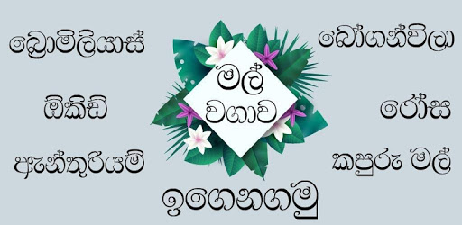 මල් වගාව - Flower Planting pc screenshot මල් වගාව - Flower Planting pc screenshot