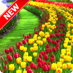 Garden Wallpaper icon