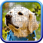 Jigsaw Puzzle Master icon