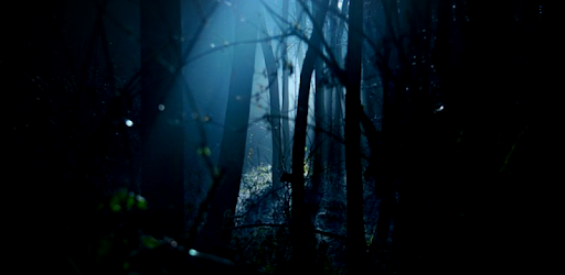Occult Library pc screenshot