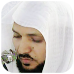 القرآن الكريم - ماهر المعيقلي icon