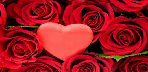 Rose GIF : Flower GIF Collection pc screenshot Rose GIF : Flower GIF Collection pc screenshot