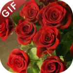 Rose GIF : Flower GIF Collection icon