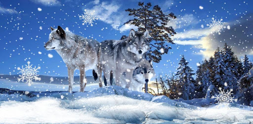 Wolves Winter pc screenshot