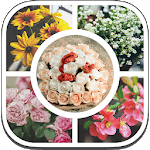 Pic Collage Maker & Pic Stitch icon