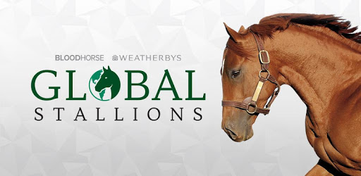 Global Stallions pc screenshot Global Stallions pc screenshot