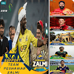 PSL Profile Picture 2018 icon