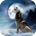 Wolf Quest Simulator game icon