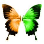 MagnetLink - DC++ support icon