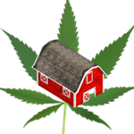 Happy Weed Farm icon