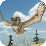 Owl Bird Simulator icon