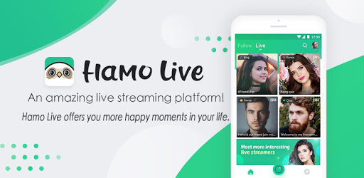 Hamo Live pc screenshot Hamo Live pc screenshot