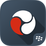 BlackBerry Workspaces Dynamics icon