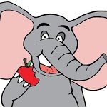 Keto Recipes - The Hungry Elephant icon