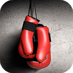 Boxing Wallpapers Full HD (backgrounds & themes) icon