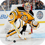 Hockey Wallpapers Full HD (backgrounds & themes) icon