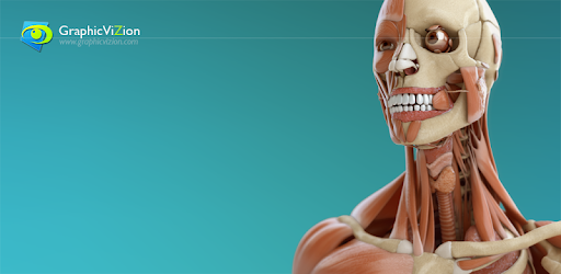 Visual Anatomy 3D | Human pc screenshot Visual Anatomy 3D | Human pc screenshot