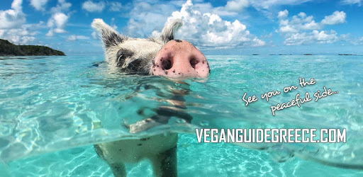 VeganGuideGreece pc screenshot