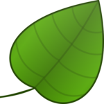 Wine Dictionary icon