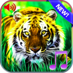 3D Animals Sounds & Wallpapers icon