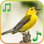 Birds Sounds Ringtones for pc icon Birds Sounds Ringtones for pc icon
