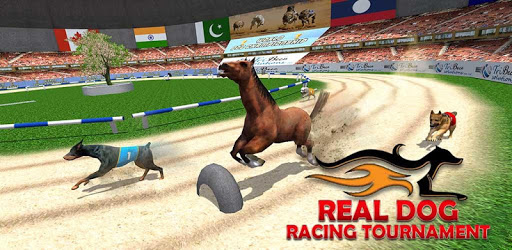Real Dog Racing Tournament pc screenshot