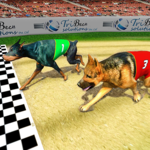Real Dog Racing Tournament icon