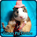 Guinea Pig Clothes icon