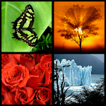 Photo Wall FX Live Wallpaper icon