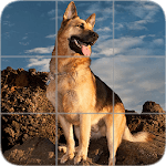 Picture Puzzle: German Shepherd Dogs icon