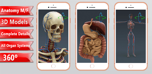 Human 3D Anatomy:Organs and Bones pc screenshot Human 3D Anatomy:Organs and Bones pc screenshot