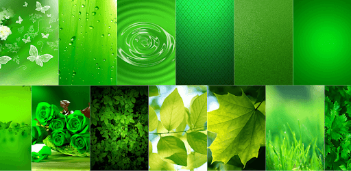 Green Wallpaper HD pc screenshot Green Wallpaper HD pc screenshot