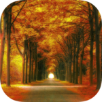 Forest HD Backgrounds for pc icon
