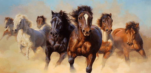 Horse Wallpapers HD pc screenshot Horse Wallpapers HD pc screenshot
