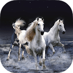 Horse Wallpapers HD icon