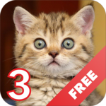 Cats sounds - evil angry cat icon