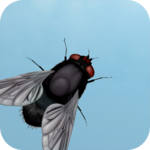 Fly on the screen - a game for the cat for pc icon