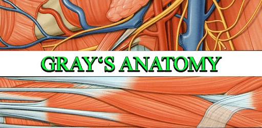 Gray's Anatomy – Atlas | Free & Offline pc screenshot