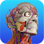 Gray's Anatomy – Atlas | Free & Offline icon
