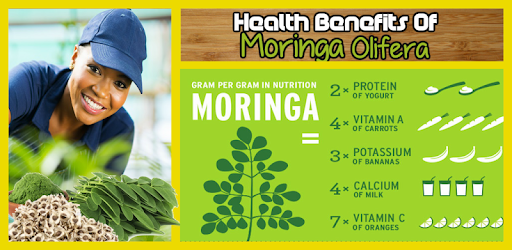 Health Benefits of Moringa Leaves pc screenshot Health Benefits of Moringa Leaves pc screenshot