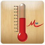 Thermometer icon